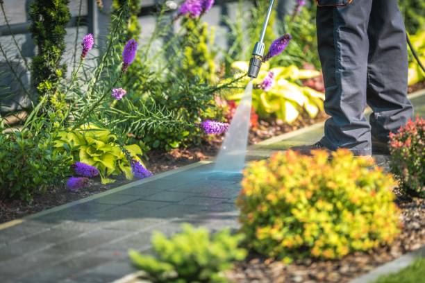 Reliable Blue Mound, IL Pressure Washing Solutions